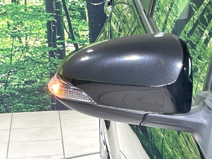 2019 Toyota Aqua DAA-NHP10 (UW-6a2ccaf0c2ec2)[12]