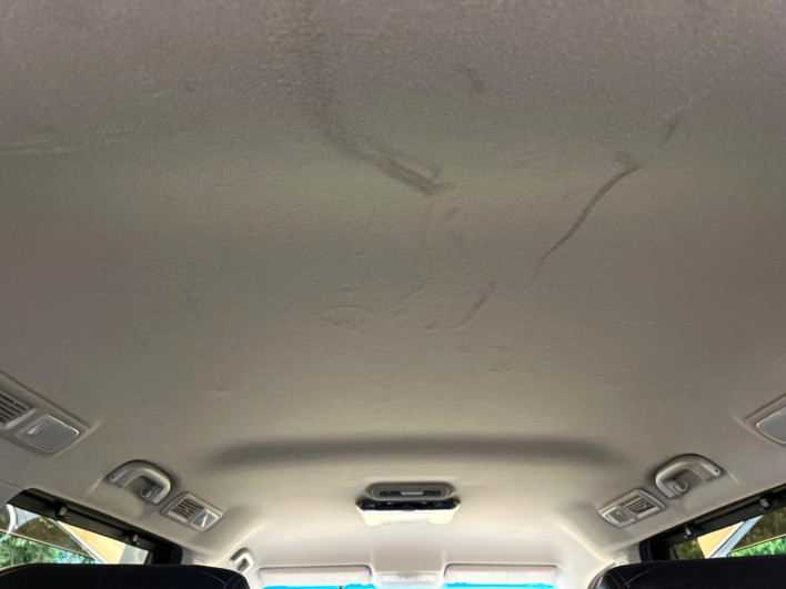 2010 Nissan Elgrand DBA-TE52 (UW-6a2ccb2d1b68d)[24]