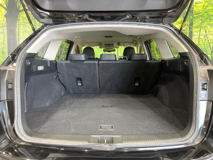 2016 Subaru Levorg DBA-VMG (UW-6a2ccb3e11abb)[4]