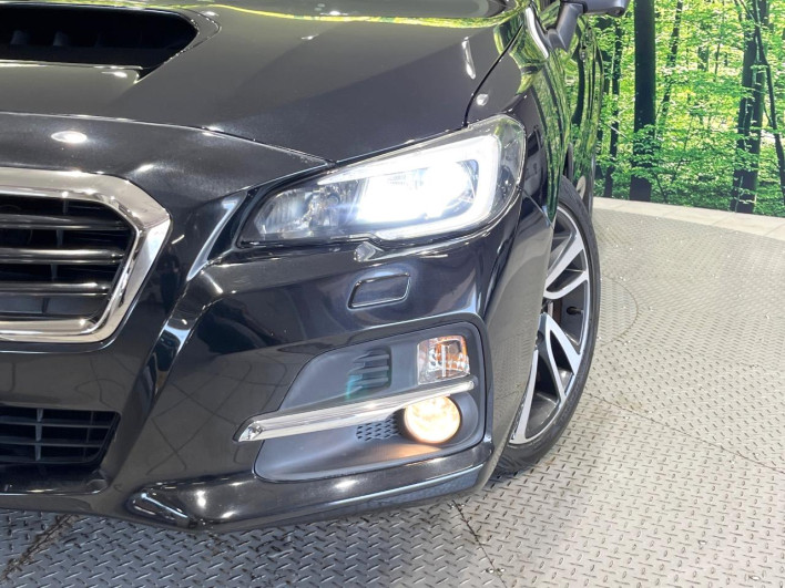2016 Subaru Levorg DBA-VMG (UW-6a2ccb3e11abb)[16]