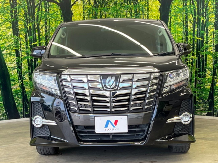 2017 Toyota Alphard DBA-AGH30W (UW-6a2e1a527c234)[29]