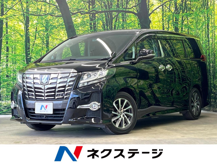 2017 Toyota Alphard DBA-AGH30W (UW-6a2e1a527c234)[3]