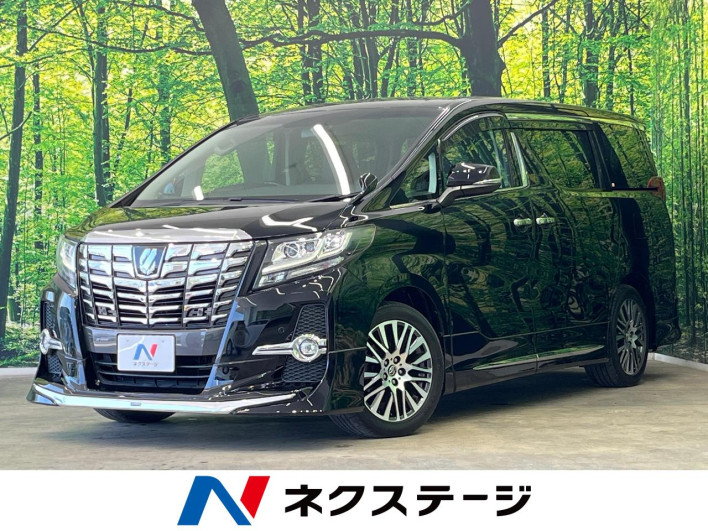 2017 Toyota Alphard DBA-AGH30W (UW-6a2e1a52cc87a)[3]