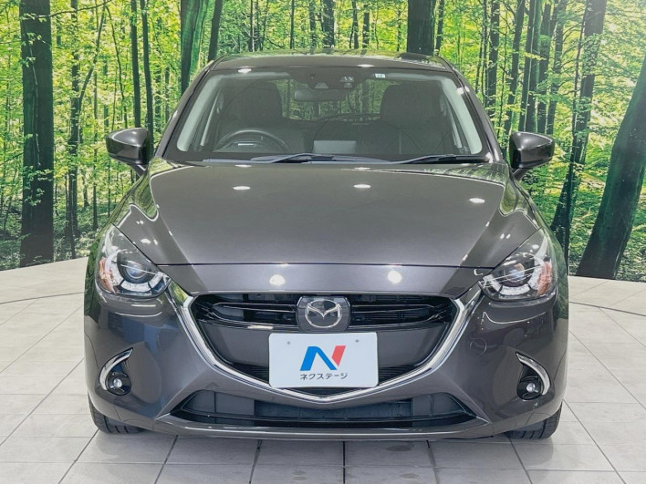 2017 Mazda Demio DBA-DJ3FS (UW-6a2e1aa9d4b83)[17]