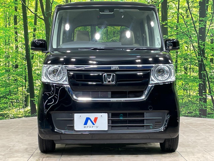 2019 Honda N-BOX DBA-JF3 (UW-6a2e1b0c1ec45)[13]