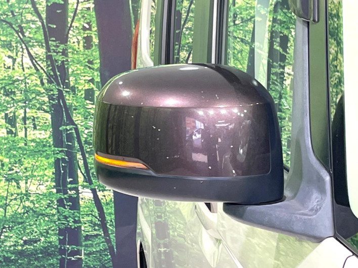 2019 Honda N-BOX DBA-JF3 (UW-6a2e1b0c8092d)[13]