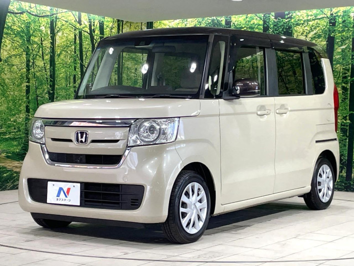 2019 Honda N-BOX DBA-JF3 (UW-6a2e1b0c8092d)[14]