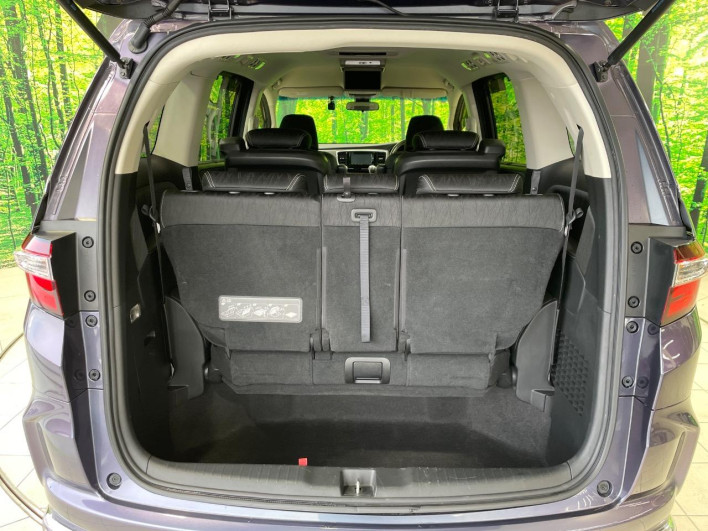 2016 Honda Odyssey DBA-RC1 (UW-6a2e1bf202545)[16]