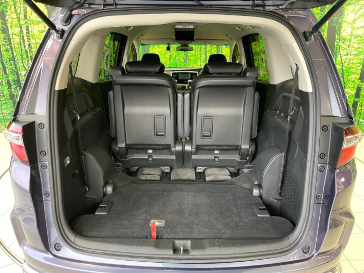 2016 Honda Odyssey DBA-RC1 (UW-6a2e1bf202545)[14]