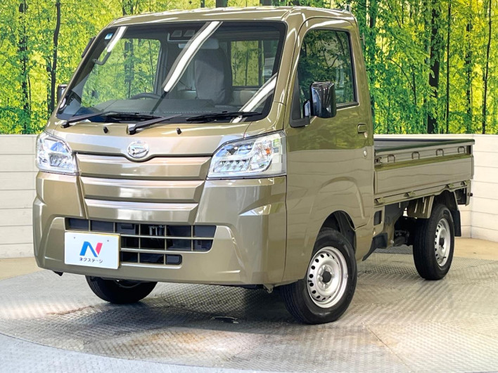 2020 Daihatsu Hiace Truck 3BD-S510P (UW-6a2e1c0c9ab2c)[0]