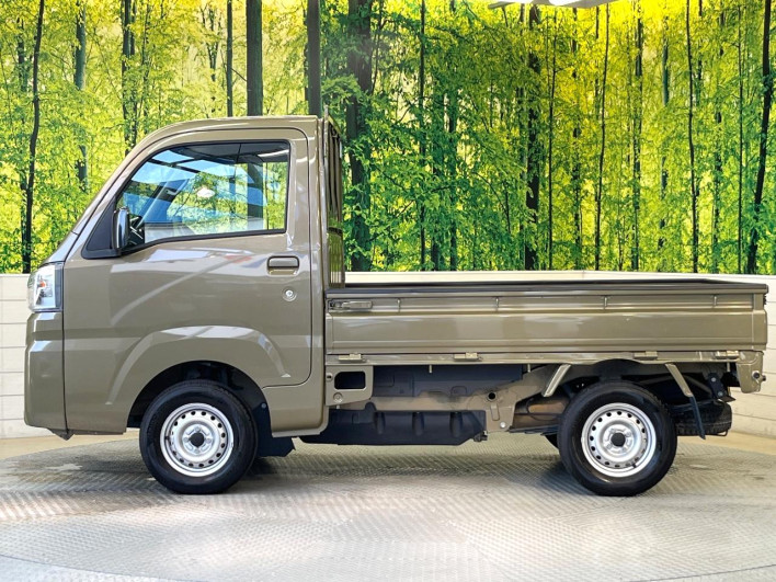 2020 Daihatsu Hiace Truck 3BD-S510P (UW-6a2e1c0c9ab2c)[27]