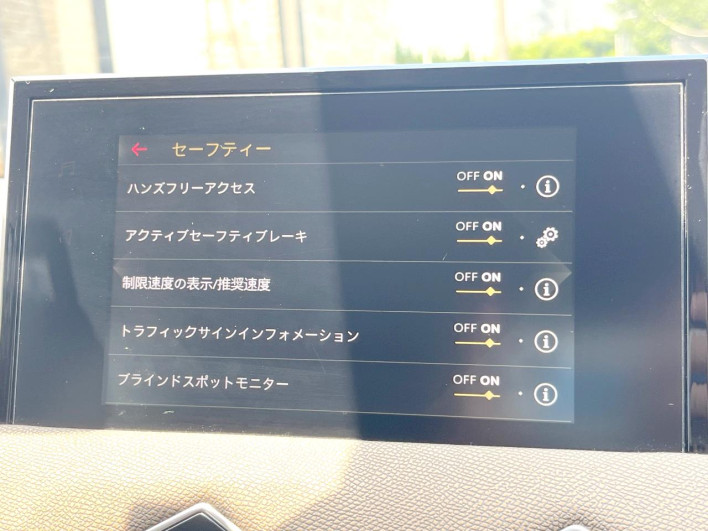 2019 DS Automobiles DS 3 Crossback 3BA-D34HN05 (UW-6a2e1c2abcbfa)[11]