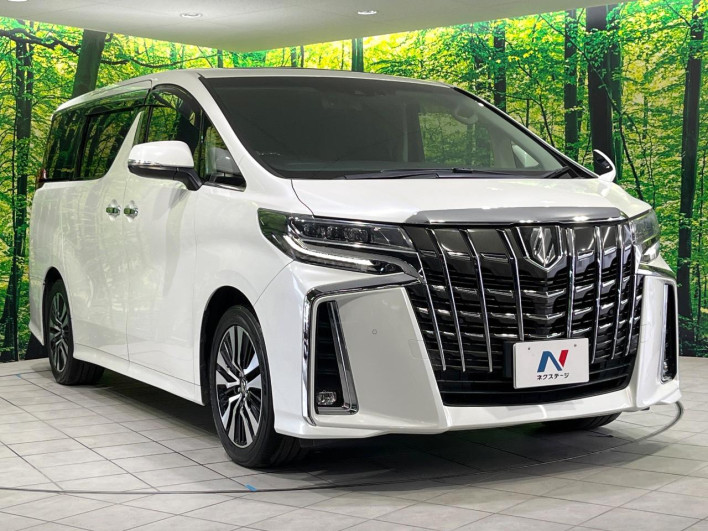 2018 Toyota Alphard DBA-AGH30W (UW-6a2f6bb0ed1c8)[19]