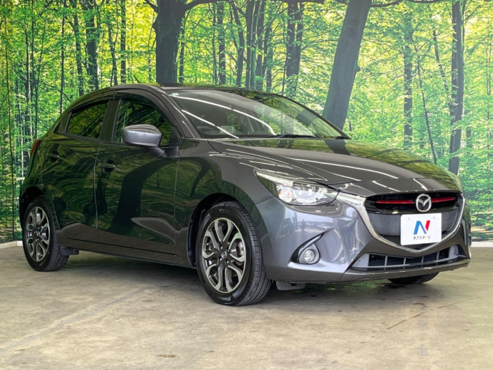 2015 Mazda Demio LDA-DJ5FS (UW-6a2f6bfe8d7e3)[25]
