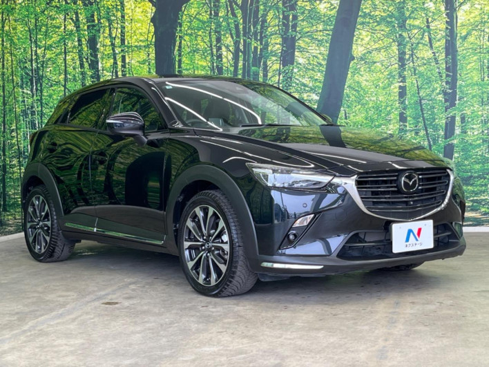 2018 Mazda CX-3 6BA-DKEFW (UW-6a2f6c008f2ce)[26]