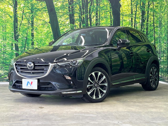 2018 Mazda CX-3 6BA-DKEFW (UW-6a2f6c008f2ce)[0]