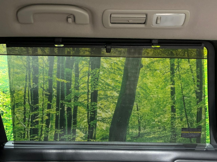 2011 Nissan Elgrand DBA-TE52 (UW-6a2f6d4ebb07b)[14]