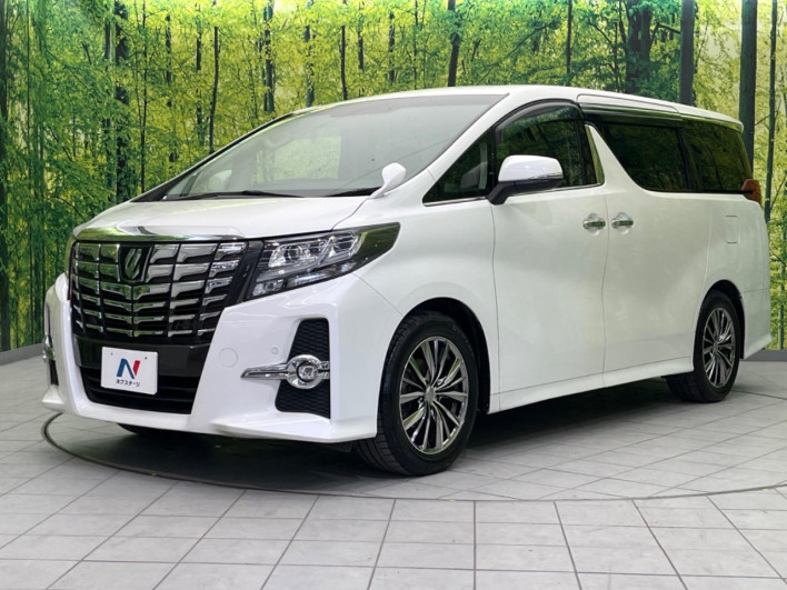 2017 Toyota Alphard DBA-AGH30W (UW-6a30bd5fb1c23)[15]
