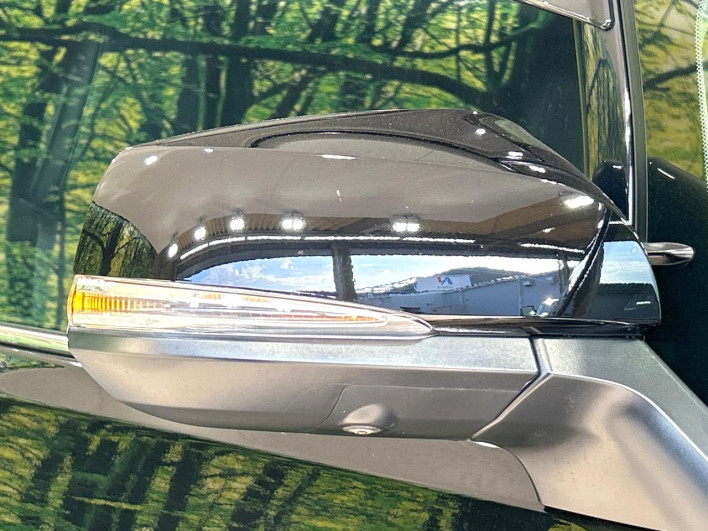 2020 Toyota Vellfire DBA-AGH30W (UW-6a30bd65bb80b)[19]