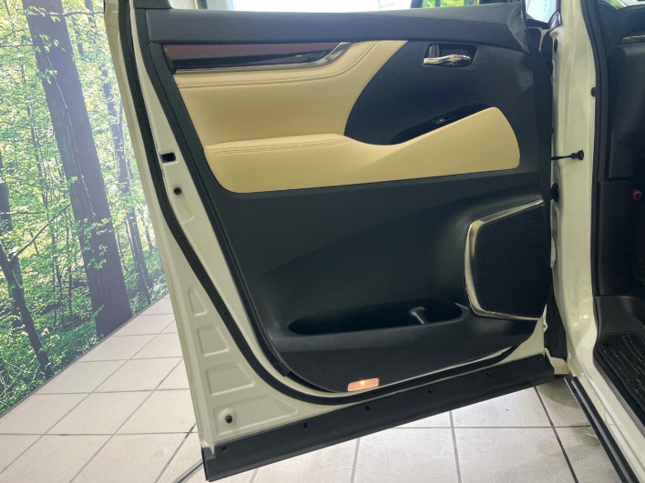 2017 Toyota Alphard Hybrid DAA-AYH30W (UW-6a30bd8597cea)[17]