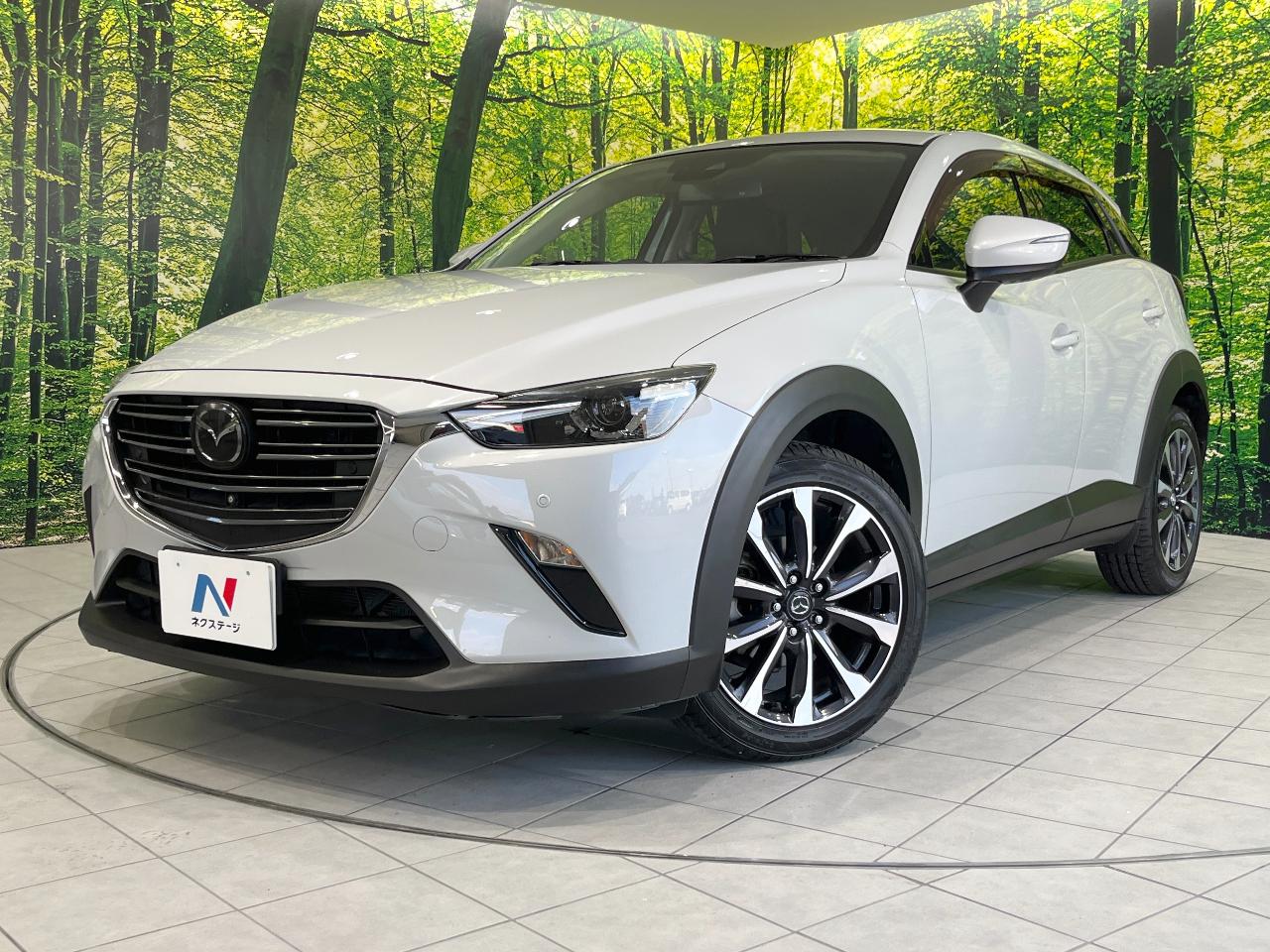 2019 Mazda CX-3 6BA-DKEFW