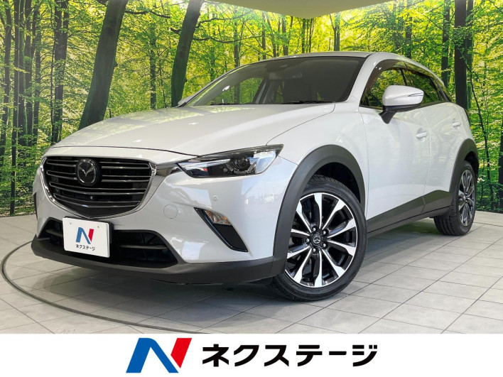 2019 Mazda CX-3 6BA-DKEFW (UW-6a30bdbfd117a)[3]