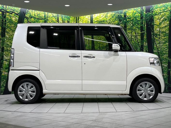 2017 Honda N-BOX DBA-JF2 (UW-6a30be2295d2f)[19]