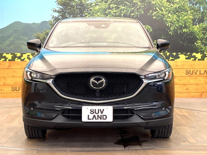 2020 Mazda CX-5 3DA-KF2P (UW-6a30be46b3268)[9]