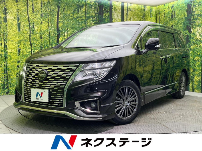 2015 Nissan Elgrand DBA-TE52 (UW-6a30bf4c31b90)[3]