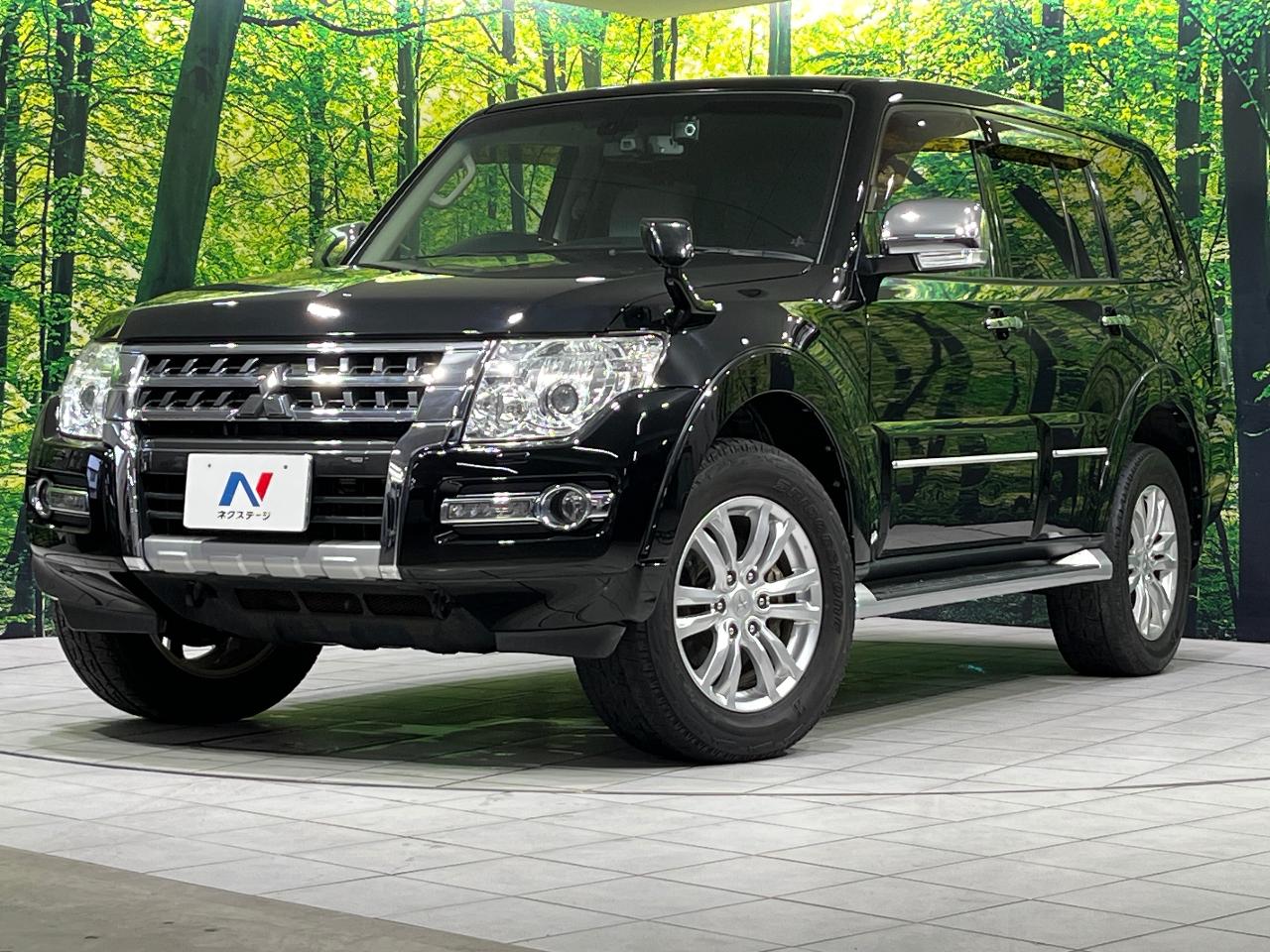 2016 Mitsubishi Pajero LDA-V98W