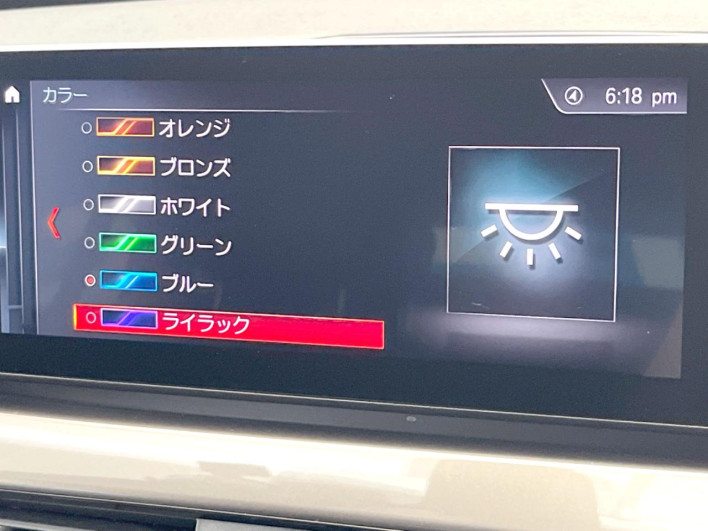 2021 BMW X1 3DA-AD20 (UW-6a30bf602a336)[13]