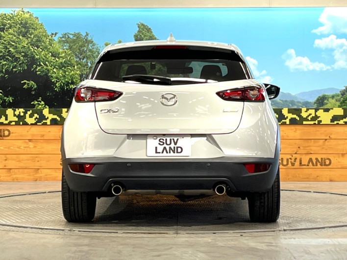2019 Mazda CX-3 6BA-DKEFW (UW-6a320fc1e9850)[16]