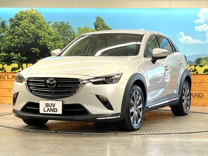 2019 Mazda CX-3 6BA-DKEFW (UW-6a320fc1e9850)[13]