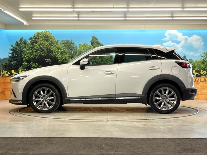 2019 Mazda CX-3 6BA-DKEFW (UW-6a320fc1e9850)[14]