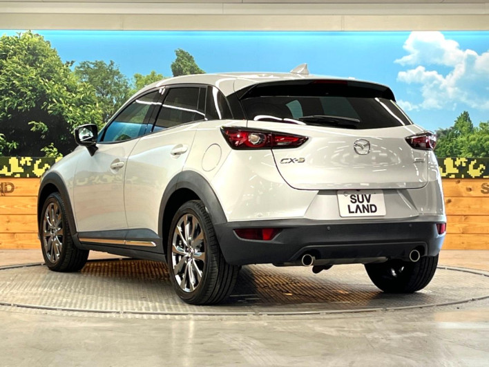 2019 Mazda CX-3 6BA-DKEFW (UW-6a320fc1e9850)[15]