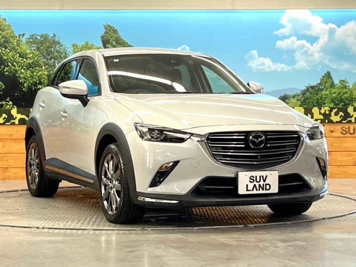 2019 Mazda CX-3 6BA-DKEFW (UW-6a320fc1e9850)[19]