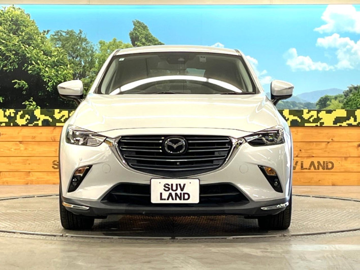 2019 Mazda CX-3 6BA-DKEFW (UW-6a320fc1e9850)[20]