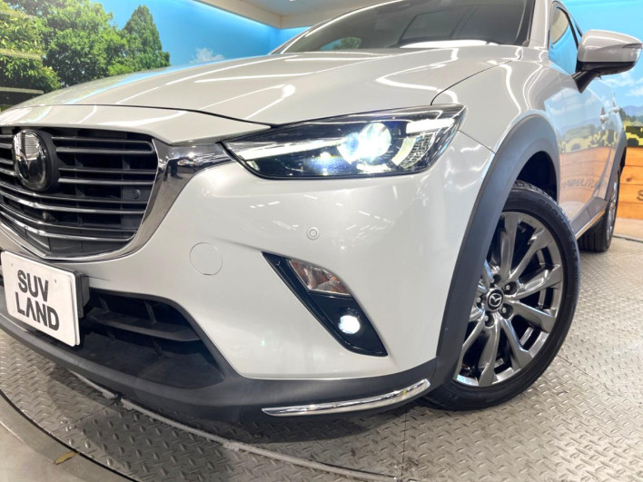 2019 Mazda CX-3 6BA-DKEFW (UW-6a320fc1e9850)[25]