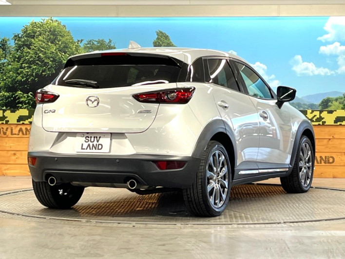 2019 Mazda CX-3 6BA-DKEFW (UW-6a320fc1e9850)[17]