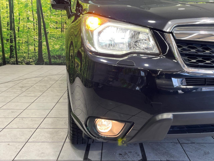 2015 Subaru Forester DBA-SJ5 (UW-6a32116c92bfa)[15]