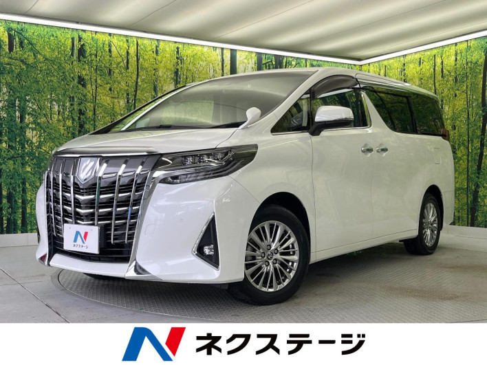 2021 Toyota Alphard Hybrid 6AA-AYH30W (UW-6a335fc1e231b)[3]