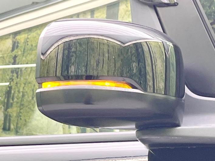 2017 Honda N-BOX DBA-JF3 (UW-6a3360315102d)[18]