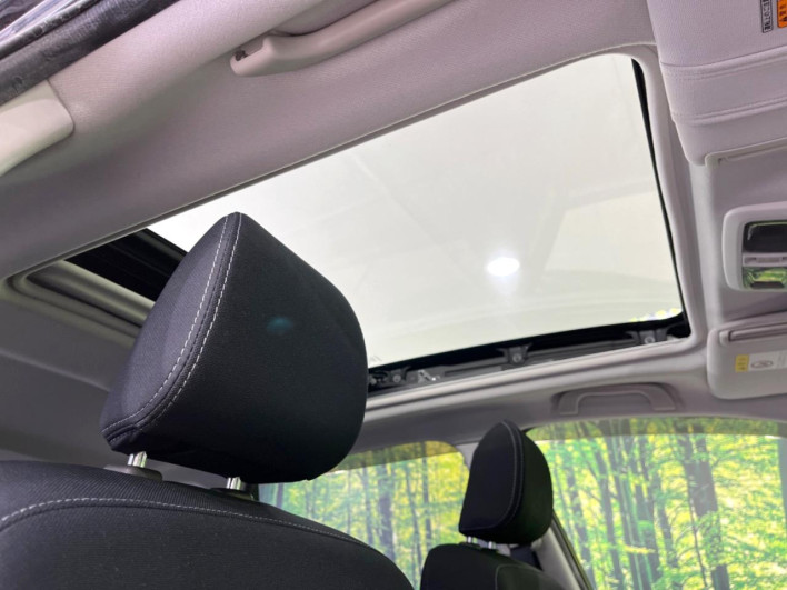 2013 Subaru Forester DBA-SJ5 (UW-6a3360faf0afa)[27]