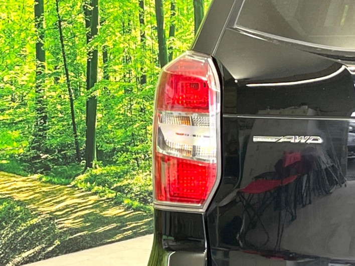 2013 Subaru Forester DBA-SJ5 (UW-6a3360faf0afa)[16]