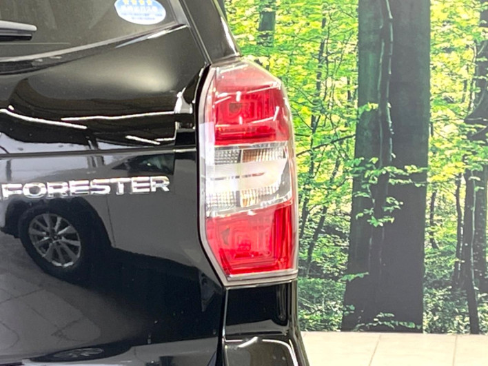 2013 Subaru Forester DBA-SJ5 (UW-6a3360faf0afa)[15]