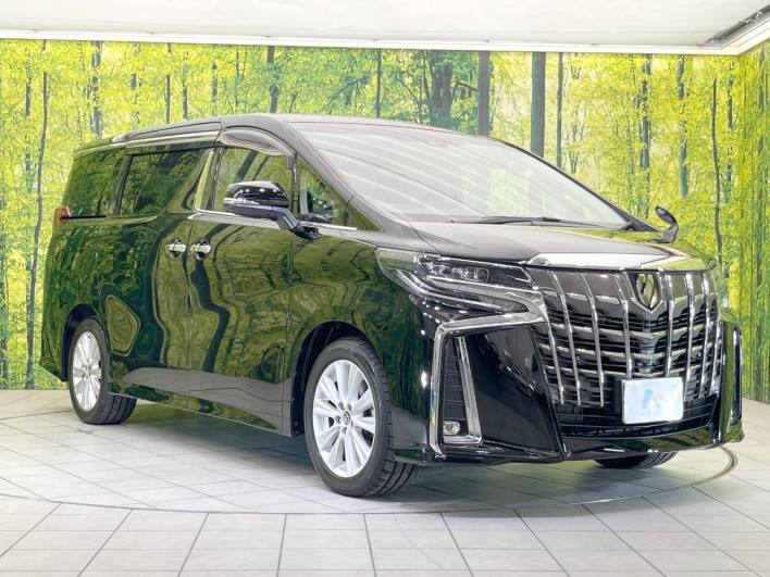 2018 Toyota Alphard DBA-AGH30W (UW-6a34b1e7cb250)[7]
