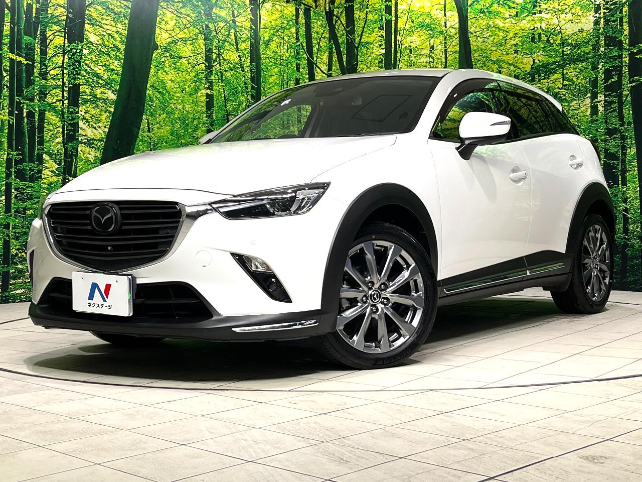 2018 Mazda CX-3 6BA-DKEFW