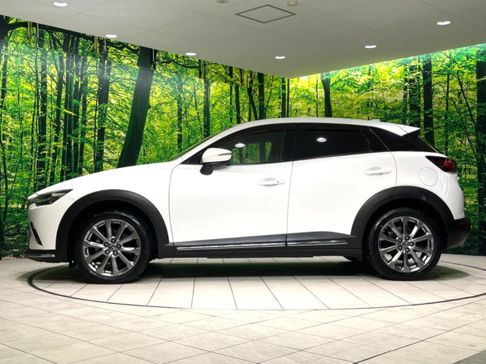 2018 Mazda CX-3 6BA-DKEFW (UW-6a34b24a1db5d)[6]