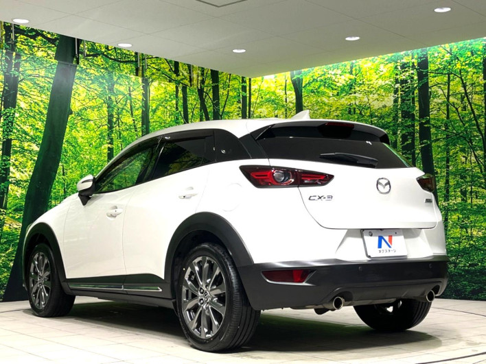 2018 Mazda CX-3 6BA-DKEFW (UW-6a34b24a1db5d)[7]