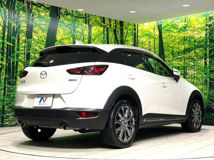 2018 Mazda CX-3 6BA-DKEFW (UW-6a34b24a1db5d)[9]